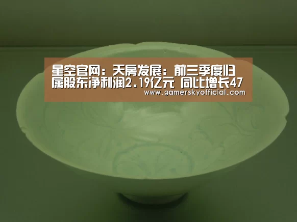 星空官网:天房发展:前三季度归属股东净利润2.19亿元 同比增长47.09%(图1) 星空官网
