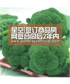 星空game